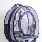 MİGNO Büyük Fileli Model Kedi Köpek Taşıma Çantası Mor