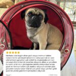 0e7478a653f4acc312d98c3a98495219