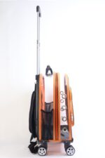 MİGNO Prestige Model Şeffaf Kedi Köpek Taşıma Çantaları Büyük - Turuncu - Görsel 3