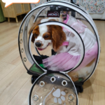 23138266992ac77feac1422510c6a6e9