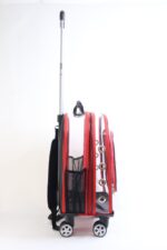 MİGNO Prestige Model Şeffaf Kedi Köpek Taşıma Çantaları Büyük - Kırmızı - Görsel 3