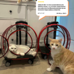 26498504cec133cd270f5e3c10ed2096