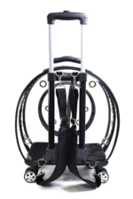 MİGNO Küçük Şeffaf Model Kedi Köpek Taşıma Çantası Siyah - Görsel 4