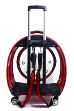 MİGNO Jumbo Model Kedi Köpek Taşıma Çantası Fileli Kırmızı - Görsel 5