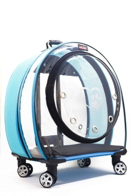 MİGNO Jumbo Model Kedi Köpek Taşıma Çantası Şeffaf Fileli Turkuaz