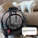 37b1cf6d124bcb4b1373566238cbeca4