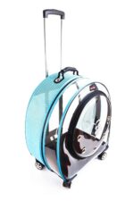 MİGNO Jumbo Model Kedi Köpek Taşıma Çantası Şeffaf Fileli Turkuaz - Görsel 3