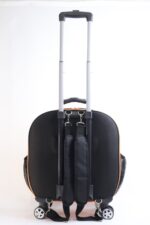 MİGNO Prestige Model Şeffaf Kedi Köpek Taşıma Çantaları Küçük - Turuncu - Görsel 5