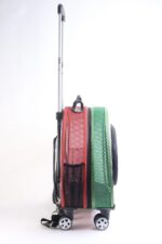 MİGNO Küçük Fileli Model Kedi Köpek Taşıma Çantası Yeşil - Kırmızı - Görsel 3