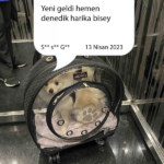 4cb5b9ccd8c4bcab1a377a4811e0547e