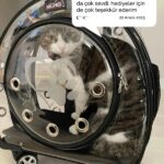 4e6256779016d5975f8aad86a1c4d17a