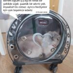 513225731b7f9974d50fbf74b2d88427