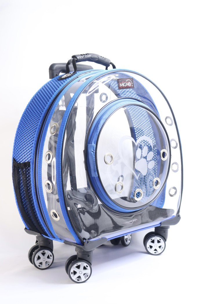 51e956bc54413f82cb477de37bb16b95.jpeg MİGNO Küçük Şeffaf - Fileli Model Kedi Köpek Taşıma Çantası Mavi - Görsel 1