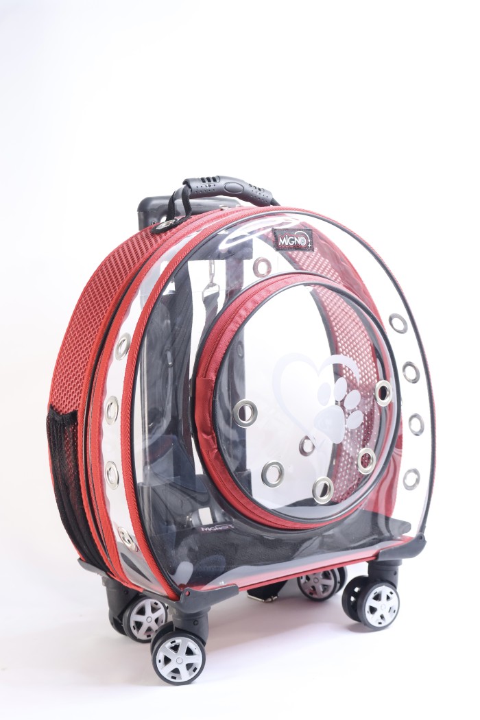 546e110e5db731964d911a34c763f483.jpeg MİGNO Büyük Şeffaf- Fileli Model Kedi Köpek Taşıma Çantası Kırmızı - Görsel 1