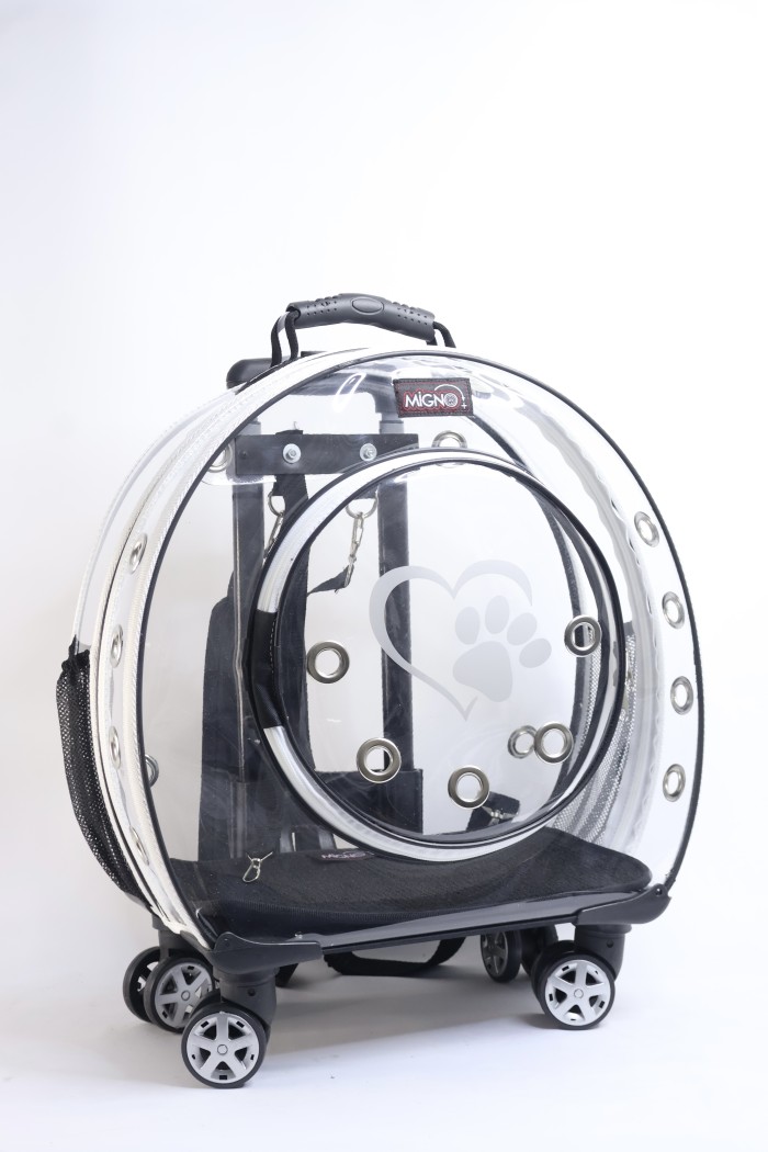5603bf269591367f7ec6d0c4850bb79d.jpg MİGNO Büyük Şeffaf Model Kedi Köpek Taşıma Çantası Beyaz - Görsel 1