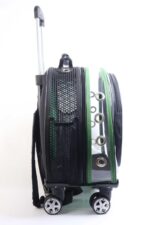 MİGNO Space Model Kedi Köpek Taşıma Çantası Fileli Şeffaf Yeşil - Görsel 3