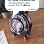 5c4932aaafdc2e6060afc9eb1fa2ed4b