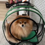 5c4ed853072350ffdd66120ef6d18090