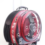 MİGNO Space Model Kedi Köpek Taşıma Çantası Fileli Şeffaf Kırmızı