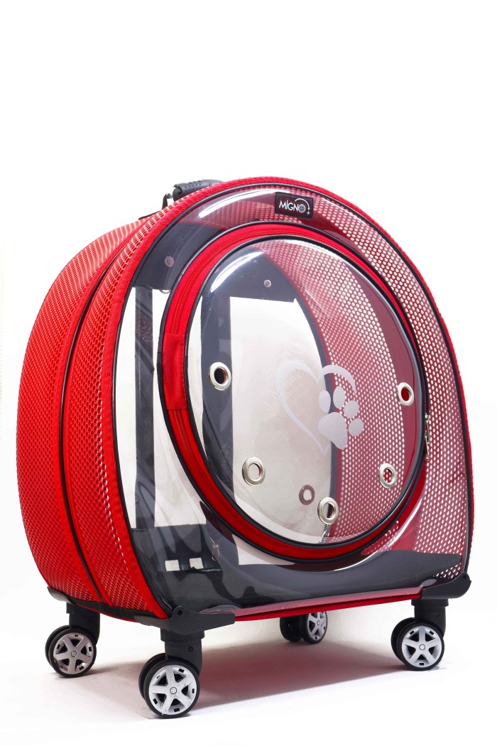 6494d02445852c59d48de5fabf25334f.jpg MİGNO Jumbo Model Kedi Köpek Taşıma Çantası Fileli Kırmızı - Görsel 1