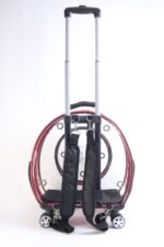 MİGNO Küçük Şeffaf- Fileli Model Kedi Köpek Taşıma Çantası Kırmızı - Görsel 4