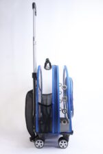 MİGNO Küçük Şeffaf Model Kedi Köpek Taşıma Çantası Mavi - Görsel 3