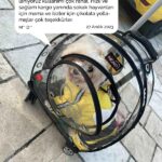 690efb032687a6251ff6faa4cd66e956