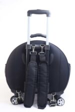 MİGNO Space Model Kedi Köpek Taşıma Çantası Fileli Şeffaf Sarı - Görsel 4