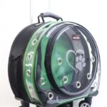 MİGNO Space Model Kedi Köpek Taşıma Çantası Fileli Şeffaf Yeşil