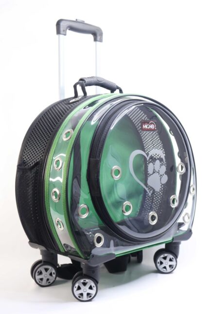 MİGNO Space Model Kedi Köpek Taşıma Çantası Fileli Şeffaf Yeşil