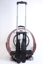 MİGNO Küçük Şeffaf Model Kedi Köpek Taşıma Çantası Kırmızı - Görsel 4