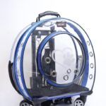 MİGNO Küçük Şeffaf Model Kedi Köpek Taşıma Çantası Mavi