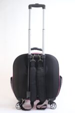 MİGNO Prestige Model Şeffaf Kedi Köpek Taşıma Çantaları Büyük - Pembe - Görsel 5