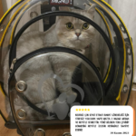 7e96cf9fc05a13391b461ffa154a6ffb