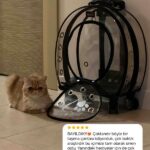 7f1bf692465059585b865b753f2aaf8e