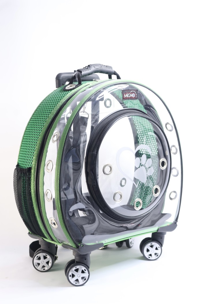 88858c5e5a749a4bcb6d9012558466c9.jpeg MİGNO Küçük Şeffaf - Fileli Model Kedi Köpek Taşıma Çantası Yeşil - Görsel 1