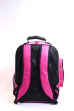 MİGNO Zenith Astronot Model Kedi Köpek Taşıma Çantaları - Pembe - Görsel 3