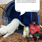 a0af3d9daf79418757f61d85304b1908