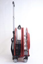 MİGNO Büyük Şeffaf Model Kedi Köpek Taşıma Çantası Kırmızı - Görsel 3