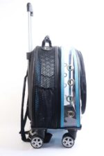 MİGNO Space Model Kedi Köpek Taşıma Çantası Fileli Şeffaf Turkuaz - Görsel 3