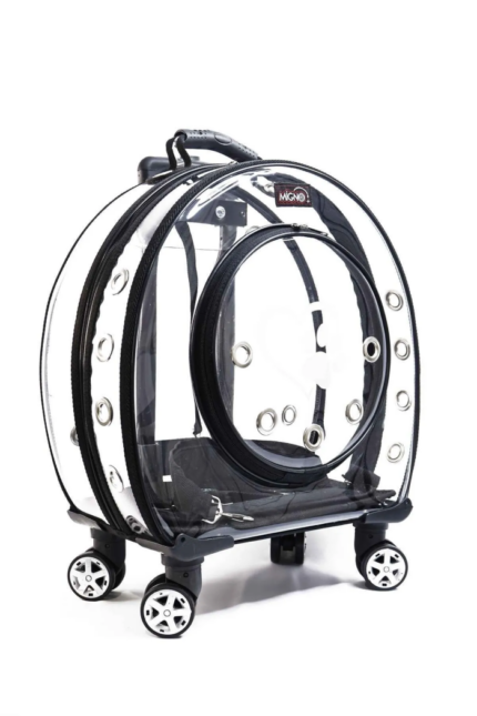 MİGNO Küçük Şeffaf Model Kedi Köpek Taşıma Çantası Siyah