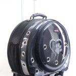 MİGNO Space Model Kedi Köpek Taşıma Çantası Fileli Şeffaf Siyah