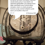 b25a9d6910cf71e377ffe4b921688740