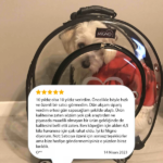 b519035c7dbabdcfb865743d342da242