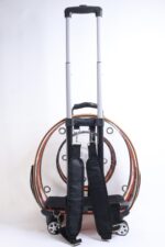 MİGNO Küçük Şeffaf Model Kedi Köpek Taşıma Çantası Turuncu - Görsel 4