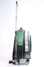 MİGNO Küçük Şeffaf - Fileli Model Kedi Köpek Taşıma Çantası Yeşil - Görsel 3