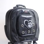 MİGNO Prestige Model Fileli Kedi Köpek Taşıma Çantaları Büyük - Siyah