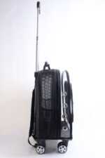 MİGNO Prestige Model Fileli-Şeffaf Kedi Köpek Taşıma Çantaları Küçük - Siyah - Görsel 3