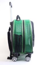 MİGNO Space Model Kedi Köpek Taşıma Çantası Fileli Yeşil - Görsel 3