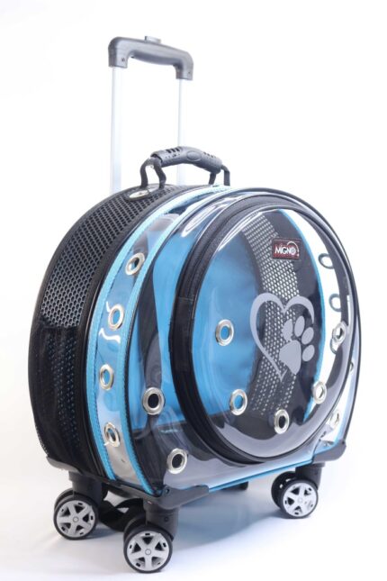 MİGNO Space Model Kedi Köpek Taşıma Çantası Fileli Şeffaf Turkuaz